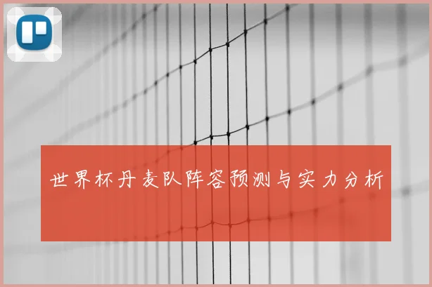 世界杯丹麦队阵容预测与实力分析